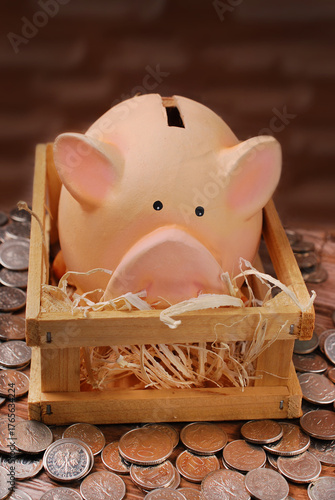 Pigbank in wooden pen with straw standing on Polish coins