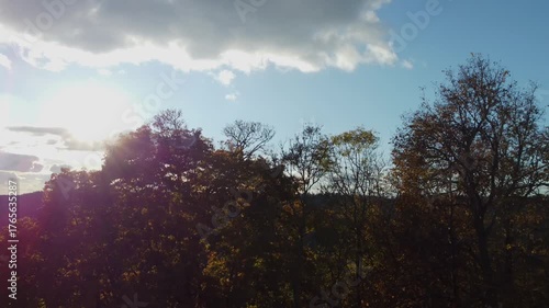 Hot Air Balloons Over Sigulda Autumn Forest