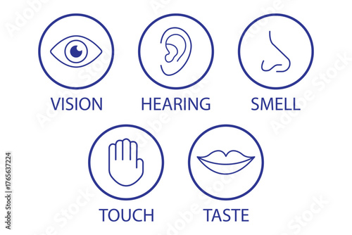Human senses icon set. Vision eye, smell nose, hearing ear, touch hand, taste mouth with tongue. Simple line icons and black circle. Five senses of human nervous system. eps 10