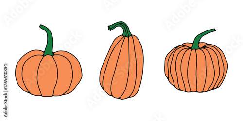 Cute Pumpkin Vector Set. Autumn and Halloween Illustration