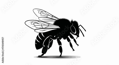 Black silhouette of a single honeybee. Highly detailed and iconographic vector illustration. Insect graphic symbol isolated on a white background