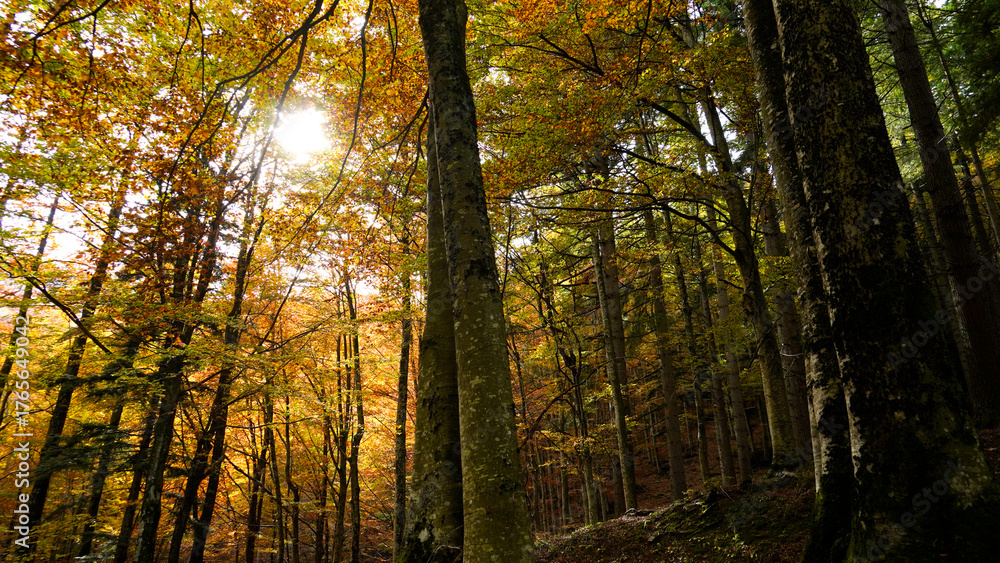 Fototapeta premium Autunno sull'Appennino emiliano. Panorami autunnali delle montagne bolognesi. Corno alle Sc ale. Bologna, Emilia-Romagna, Italia.
