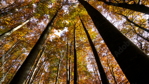 Autunno sull'Appennino emiliano. Panorami autunnali delle montagne bolognesi. Bologna, Emilia Romagna. Italia