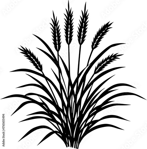 A realistic clump of ornamental fountain grass (Pennisetum), with long, narrow green leaves and soft, feathery white to pale purple flower spikes. The plant is isolated on a white or transparent backg