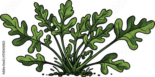 Vector art of handdrawn illustration of a green leafy plant with textured leaves, , perfect for botanical designs and patterns on a transparent background