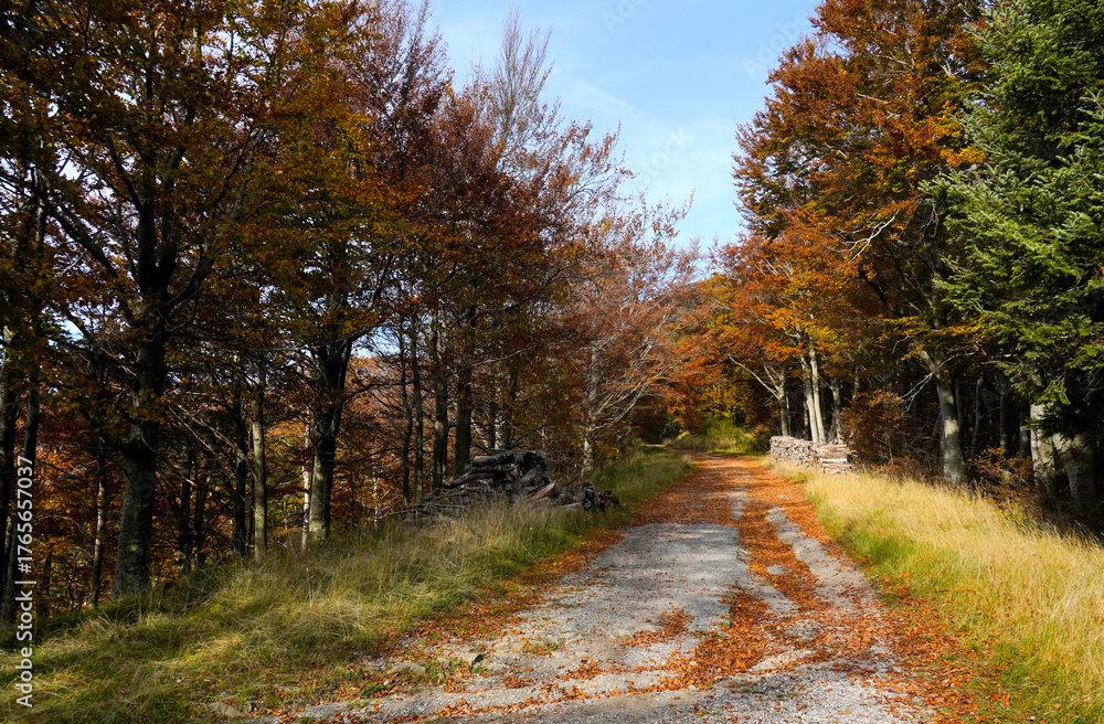 Fototapeta premium Autunno sull'Appennino emiliano. Panorami autunnali delle montagne bolognesi. Corno alle Sc ale. Bologna, Emilia-Romagna, Italia.