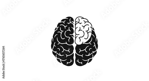 Brain illustration with focus on the left and right hemispheres.