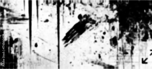 grunge black and white texture featuring halftone dots and dust screen print effect for graphic projects