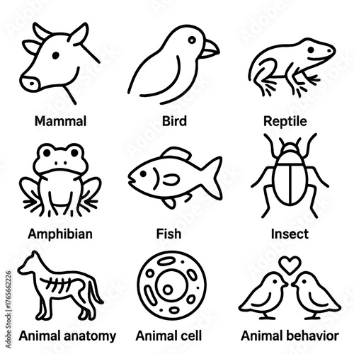 Animal classification linear icon set. featuring mammal, bird, reptile, amphibian, fish, insect symbols
