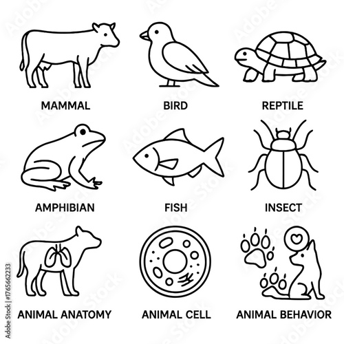 Biology linear icons set. featuring mammal, bird, reptile, amphibian, fish, insect, anatomy, cell, behavior symbols