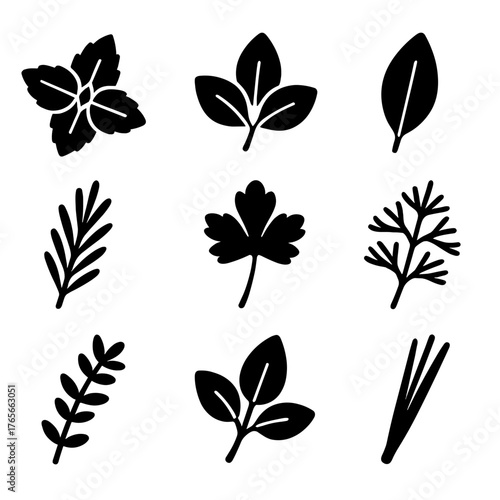 Herbs silhouette icon set. featuring basil, mint, sage, parsley, rosemary, dill, and chives symbols