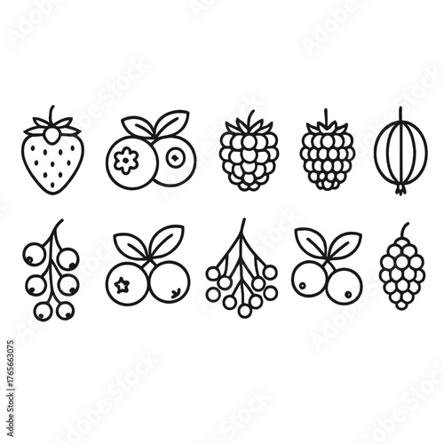 Berries linear icon set. including strawberry, blueberry, blackberry, raspberry, currant, and grape symbols