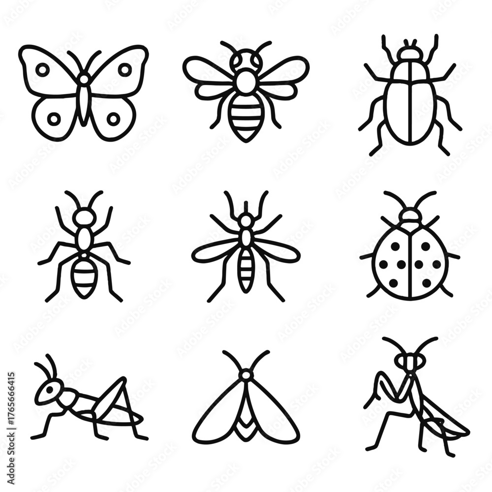 Fototapeta premium Insect linear icon set. featuring butterfly, bee, beetle, ant, mosquito, ladybug, grasshopper, moth, mantis symbols