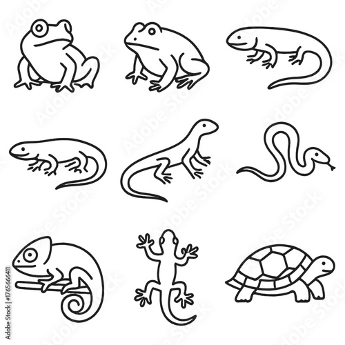 Reptile and amphibian linear icon set. featuring frog, toad, lizard, snake, chameleon, gecko, turtle icons