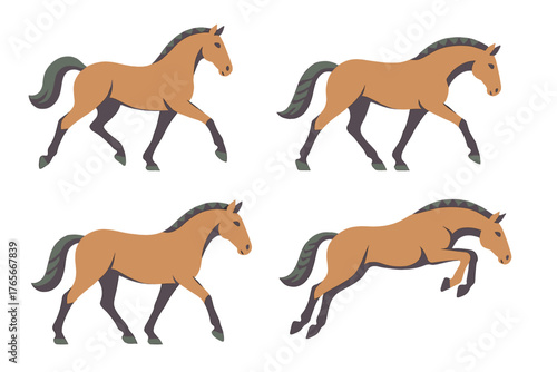 Four brown horses in various dynamic gaits including walking, trotting, and jumping