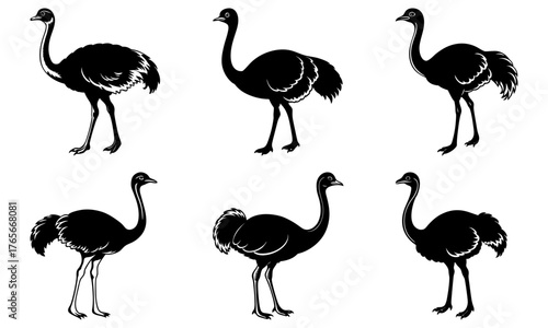 Elegant flock of ostriches in silhouette, a timeless wildlife graphic suitable for nature designs, conservation projects, and branding with an exotic touch