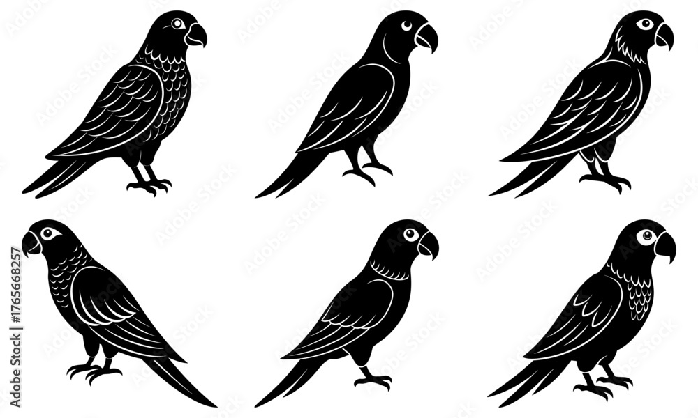 Obraz premium Elegant parrot silhouettes, perfect for branding, wildlife conservation awareness, and exotic pet-related designs, adding a touch of nature and sophistication