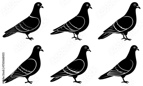 Elegant silhouette of six black pigeons standing poised, showcasing their sleek forms and detailed feather patterns for nature and urban design projects.
