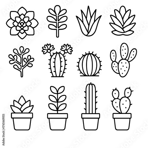 Succulent and cactus silhouette icon set. featuring aloe, jade, agave, saguaro, prickly pear, and more.
