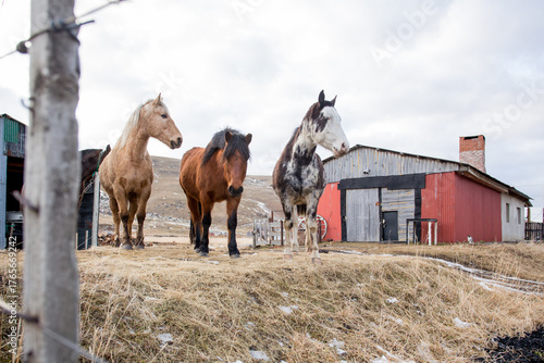 La Gesta Del Carbón