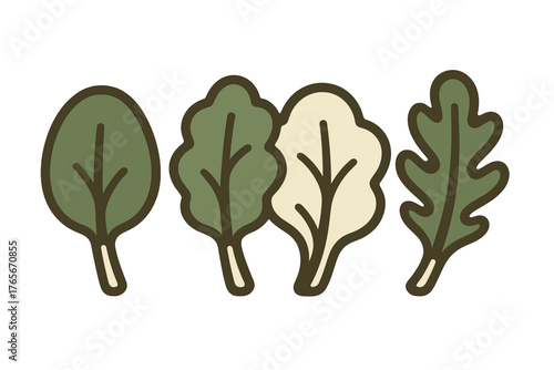 Stylized set of four fresh green salad leaves including spinach and lettuce