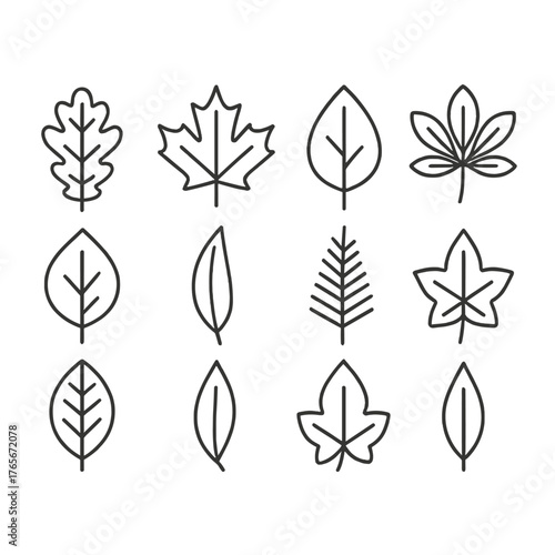 Nature and leaves linear icon set. featuring oak, maple, elm, fir, and bamboo leaf symbols