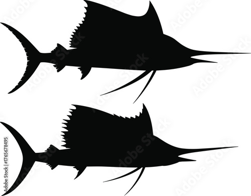Sailfish silhouette vector illustration, black marine fish icon, ocean predator graphic, dorsal fin detail, sea animal design for educational and artistic use