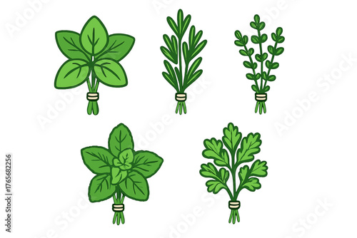 Fresh aromatic culinary herbs tied in small bunches for cooking and seasoning