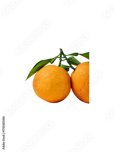 oranges with leaves