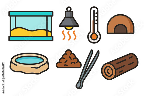 Essential equipment for reptile terrarium setup including heating, substrate, and habitat decor