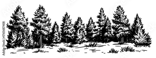 pine tree forest panorama hand drawn sketch