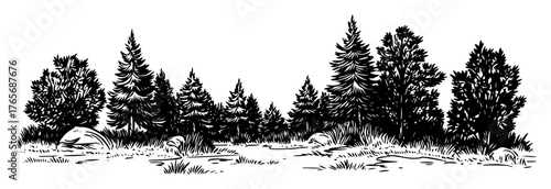 mixed forest panorama with pine and deciduous trees sketch