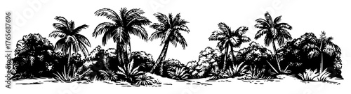 dense tropical palm grove landscape illustration