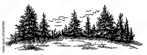 dense conifer forest silhouette landscape illustration