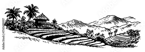 asian rice terraces on a hill with hut and mountains sketch