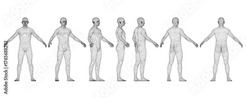 Realistic male character wireframe illustration showing anatomical details in multiple poses against a clean white background. This educational diagram clearly displays human body structure.
