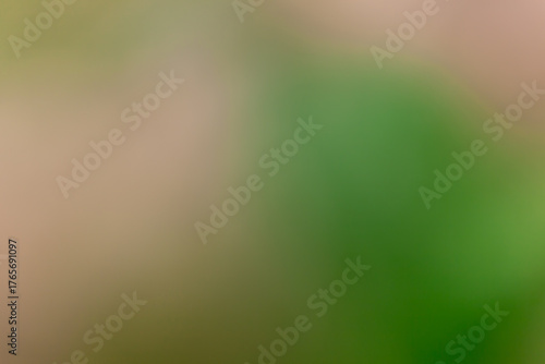 Abstract out of focus composition of soft gradients: a diffuse green mass on the right meets warm beige and pale green tones on the left, separated by a gentle vertical blur
