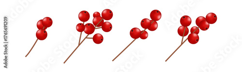 Set of realistic red holly berries on brown branches isolated on white background. Traditional festive botanical elements for Christmas and New Year design. Vector illustration.