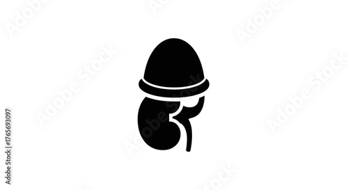 Adrenal Gland and Kidney Icon A Minimalist Black and White Medical Symbol.