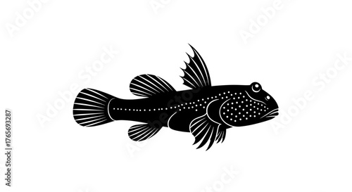 Detailed black and white illustration of a small freshwater fish.