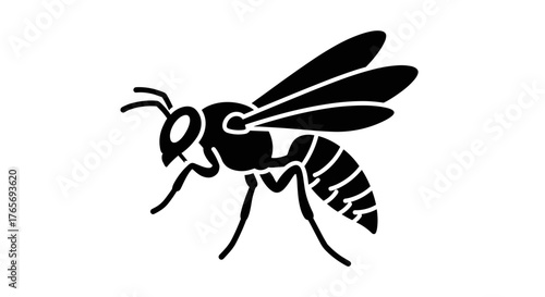 Silhouette of a Wasp Detailed Insect Illustration.