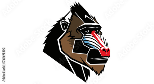 Stylized Mandrill Baboon Head Vector Illustration on White Background.