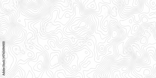 Abstract curve grid map and topo contour map white background. Topo contour map on white background, Topographic contour lines vector map seamless pattern. Geometric stiped line grid map Topography.