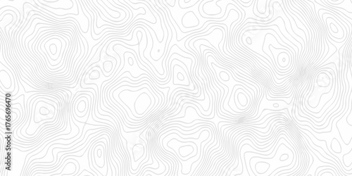 Abstract curve grid map and topo contour map white background. Topo contour map on white background, Topographic contour lines vector map seamless pattern. Geometric stiped line grid map Topography.