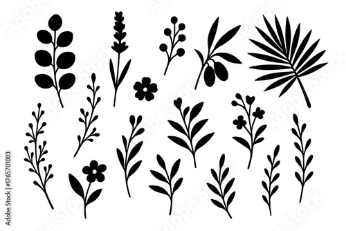 Set of black botanical silhouettes featuring leaves, branches, flowers, and natural decorative elements