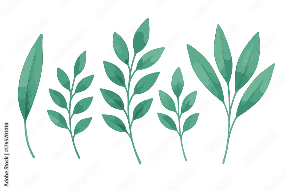 Obraz premium Green watercolor foliage elements and botanical branches collection isolated on a white background