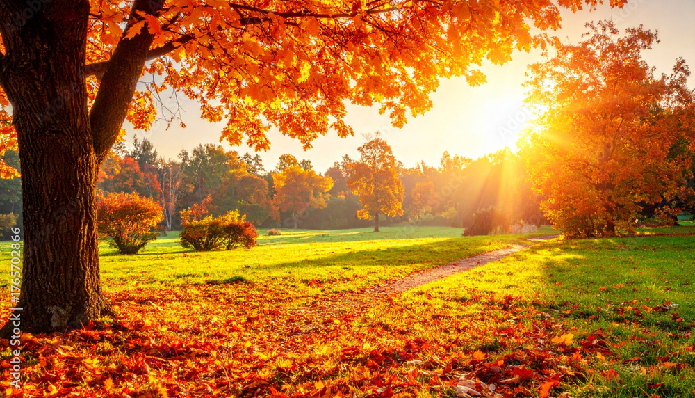 Fototapeta premium Beautiful autumn landscape with. Colorful foliage in the park