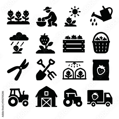 Strawberry Farming Icons. Strawberry growth and harvesting icons in silhouette. Strawberry field, farmer picking, watering can, sun, rain, soil
