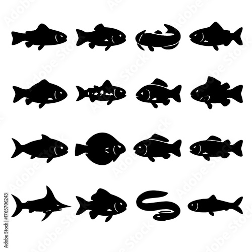 Silhouette Fish Icons. Types of Fish icons in silhouette. Trout, bass, catfish, salmon, carp, mackerel, perch, pike, tuna, flounder, cod, sardine