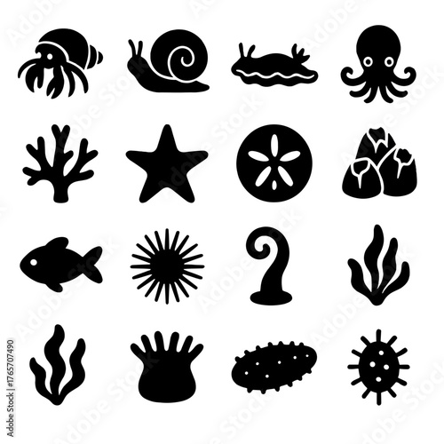 Silhouette Marine Icons. Shells and Marine Life icons in silhouette. Hermit crab, snail in shell, sea slug, baby octopus, coral fragment, starfish
